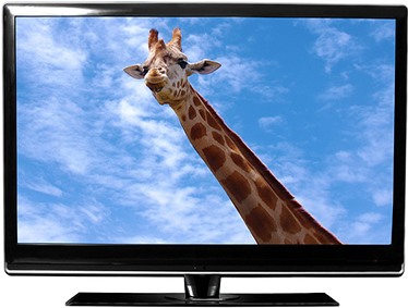 Hver er munurinn á LED sjónvarpi og LCD sjónvarpi